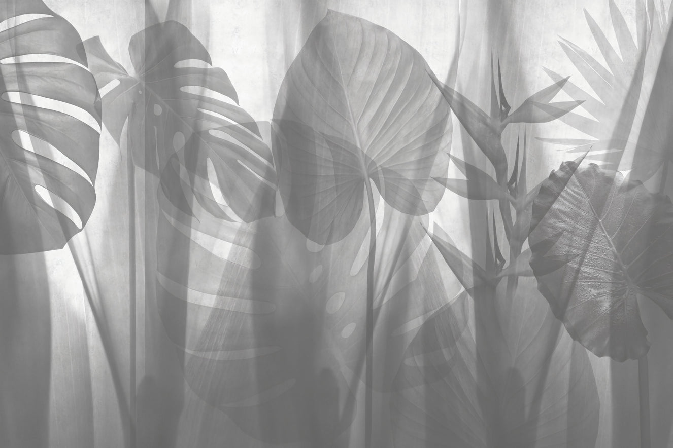 monochrome Tropical Leaves Wallpaper