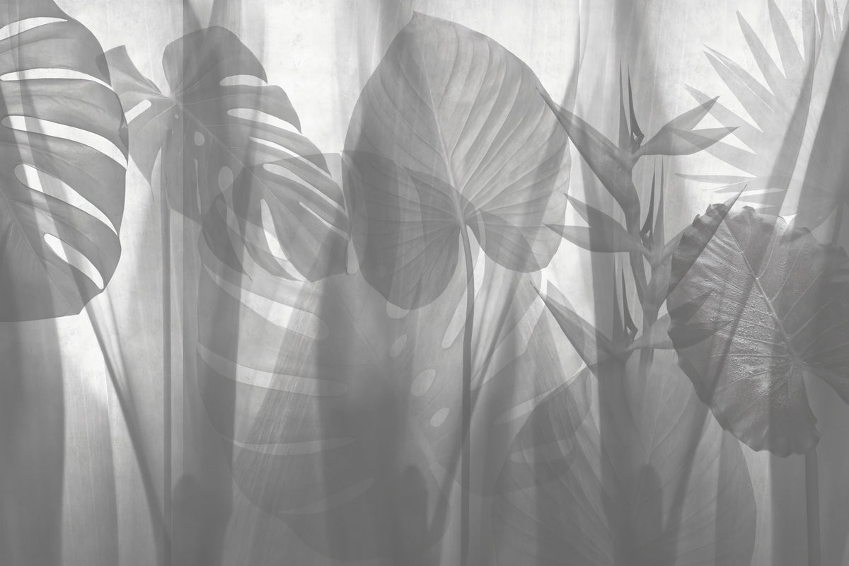 monochrome Tropical Leaves Wallpaper in your room — zoomed