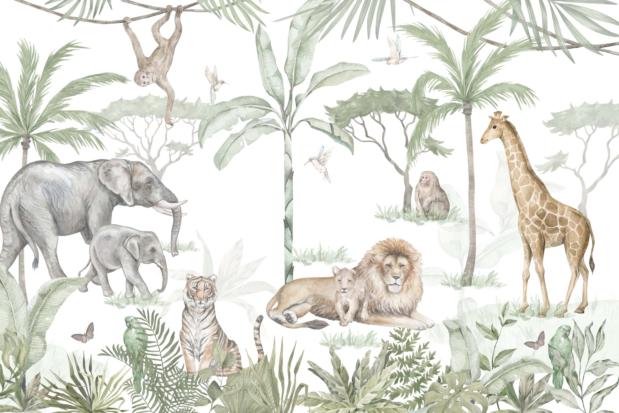 Tropical Wildlife Adventure Wallpaper