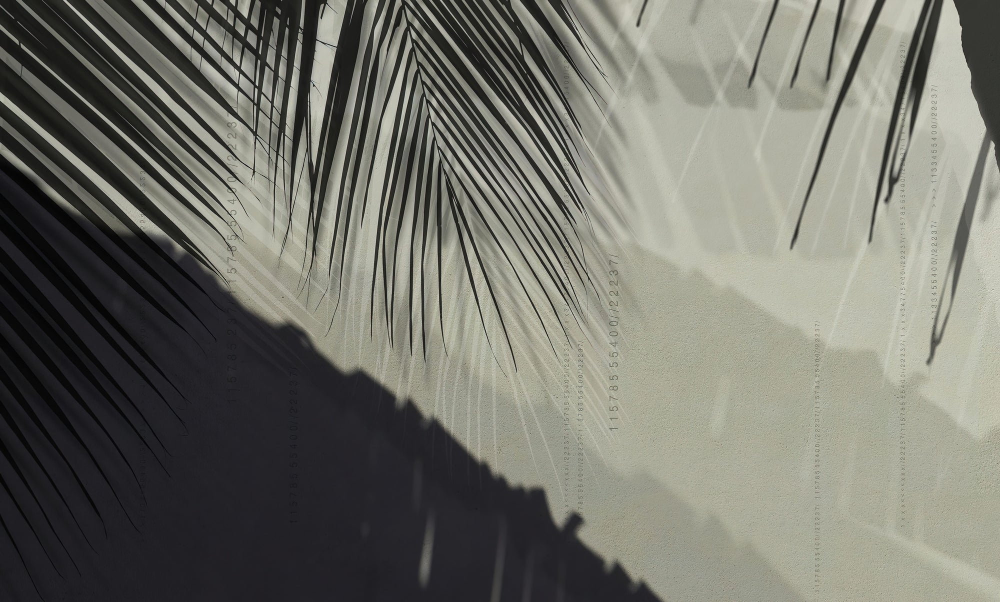 Tropical Palm Shadow Wallpaper