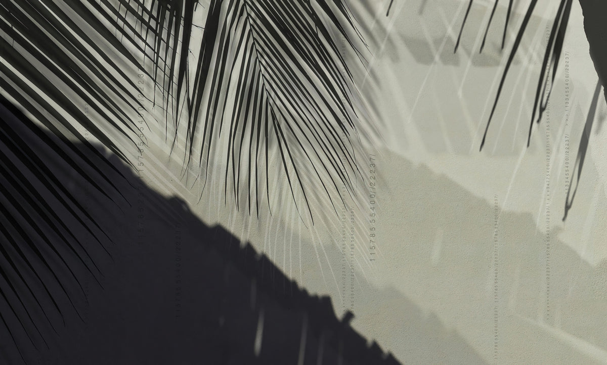Tropical Palm Shadow Wallpaper in your room — zoomed