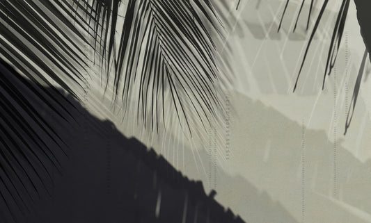 Tropical Palm Shadow Wallpaper