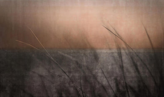 Serene Sunset Grass Leaves Wallpaper