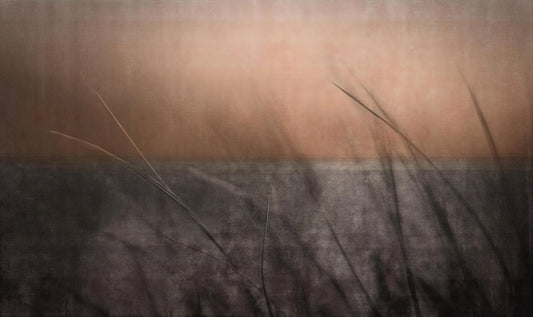 Serene Sunset Grass Leaves Wallpaper