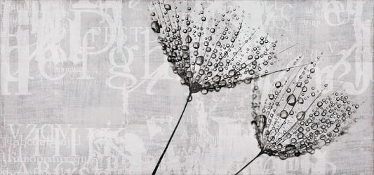 Botanical Script Dandelion Wallpaper