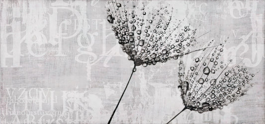 Botanical Script Dandelion Wallpaper