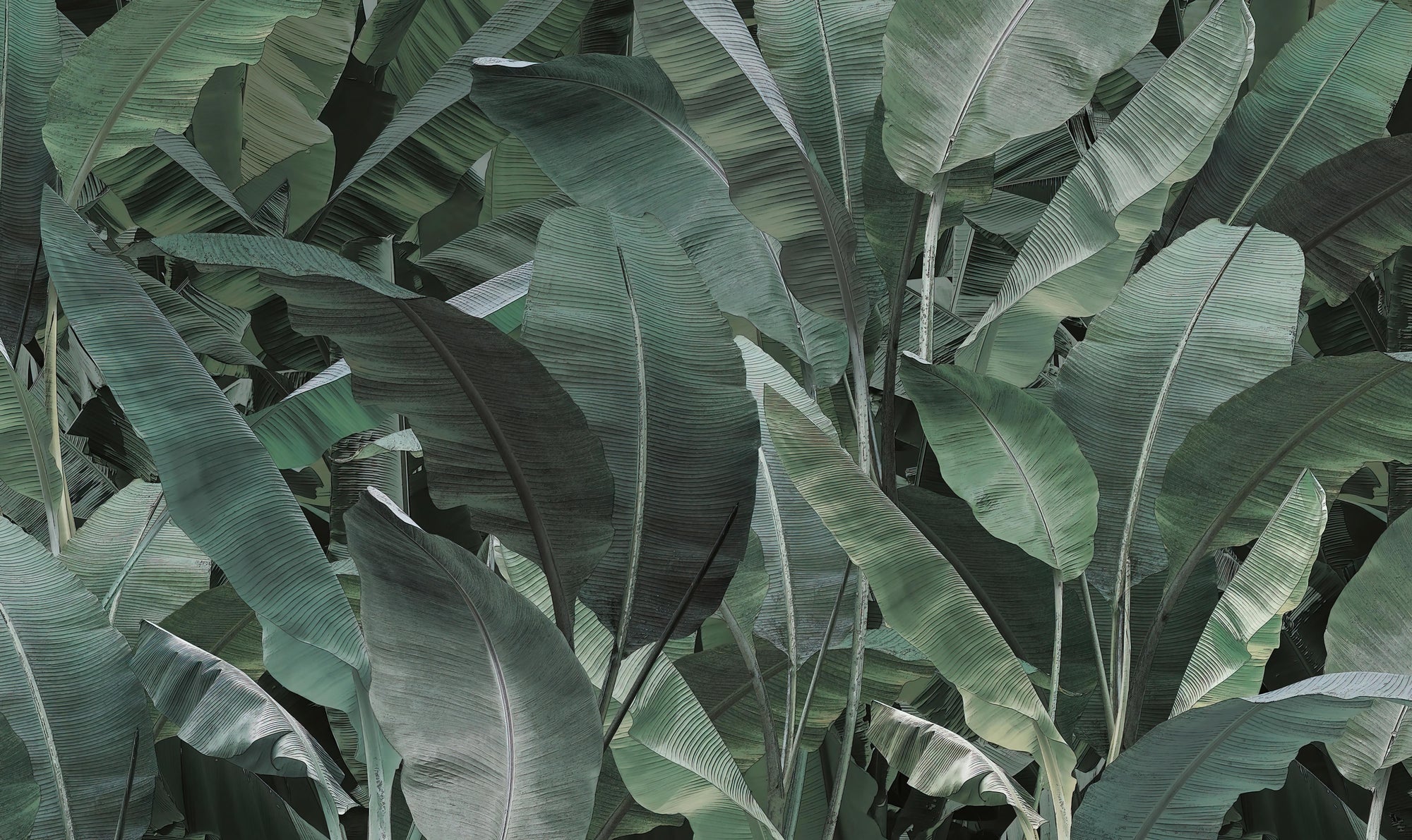 Dense Tropical Leaf Pattern Wallpaper