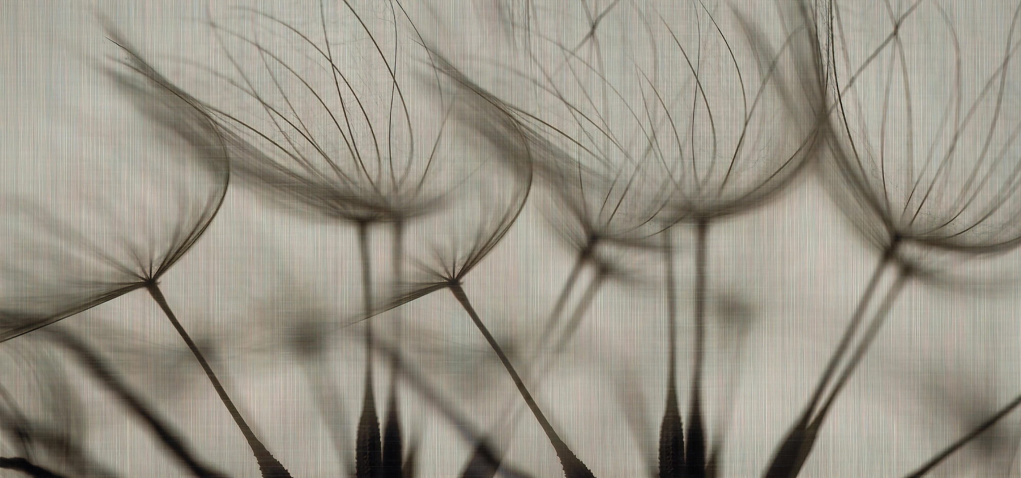 Soft Botanical Breeze Wallpaper