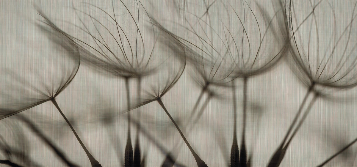 Soft Botanical Breeze Wallpaper in your room — zoomed