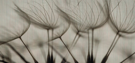 Soft Botanical Breeze Wallpaper