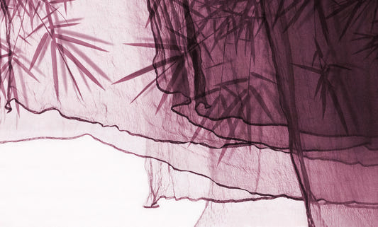 Plum Bamboo Shadow Botanical Wallpaper