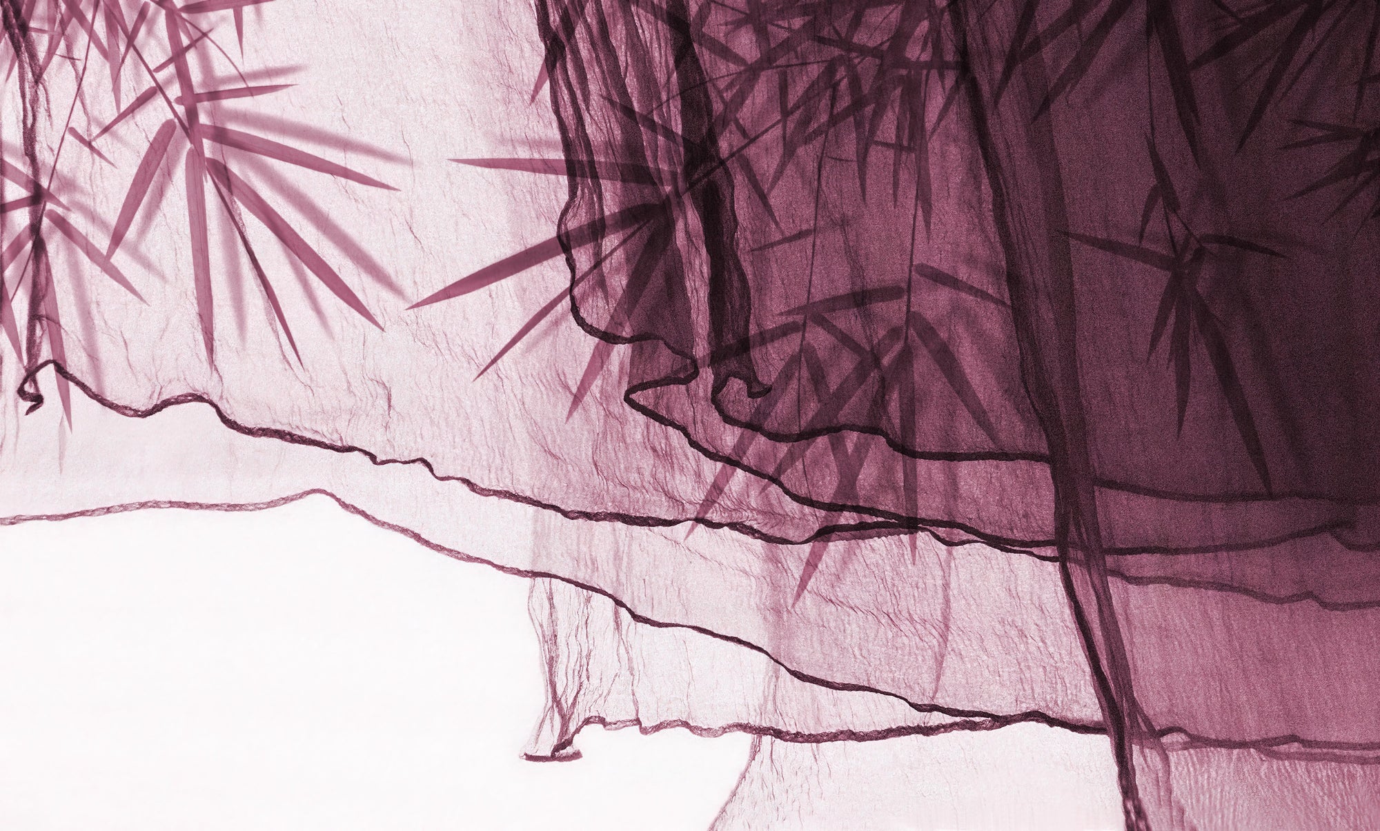Plum Bamboo Shadow Botanical Wallpaper