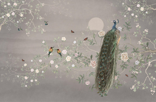 Elegant Peacock Garden Bird Wallpaper