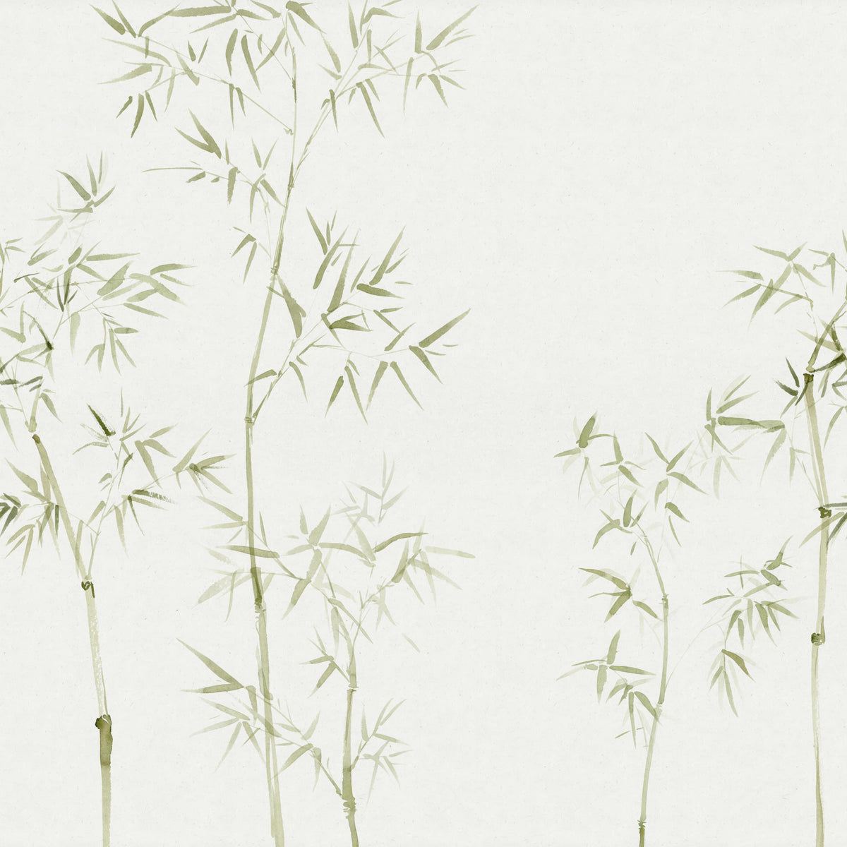 Watercolour Bamboo Tree Wallpaper Mural