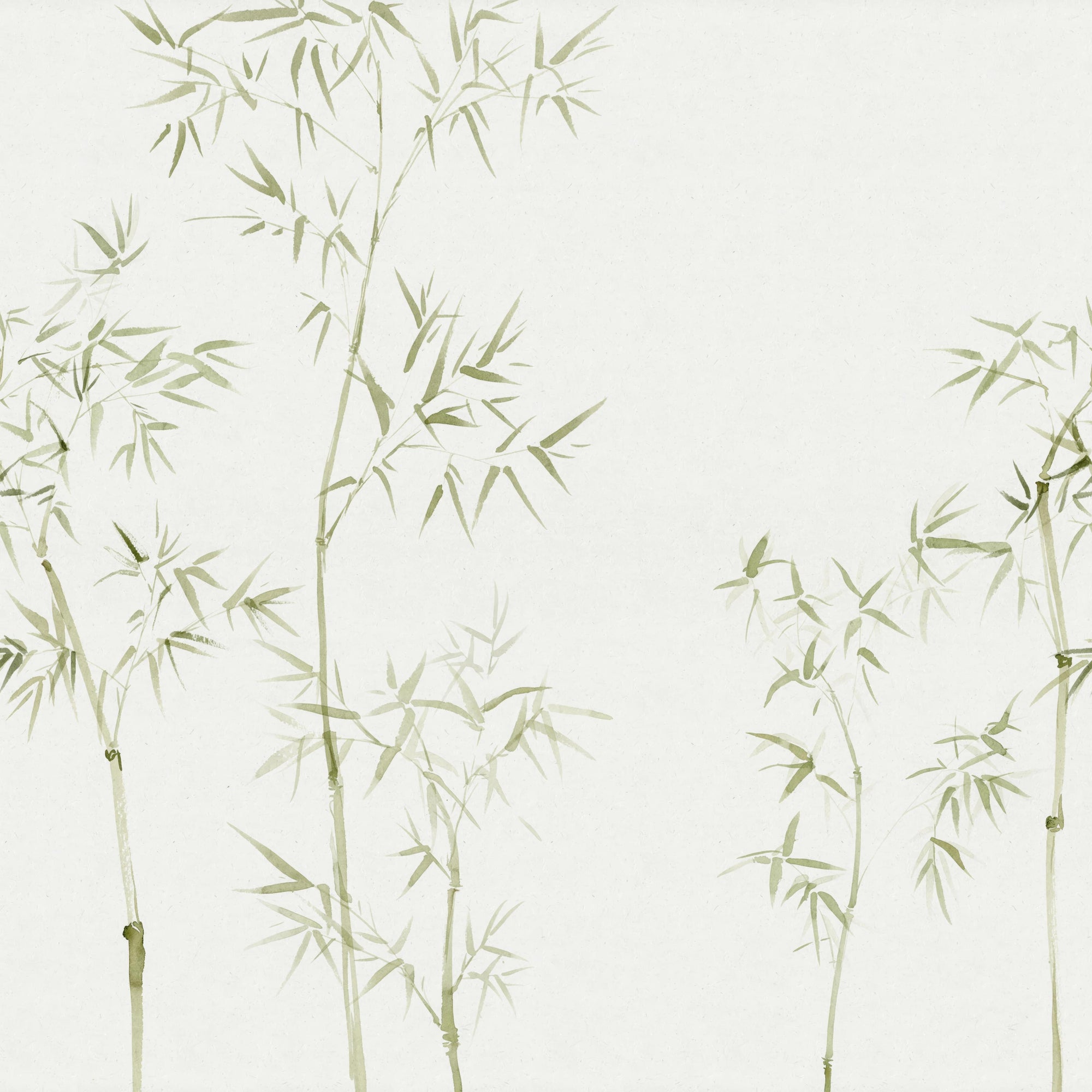 Watercolour Bamboo Tree Wallpaper Mural
