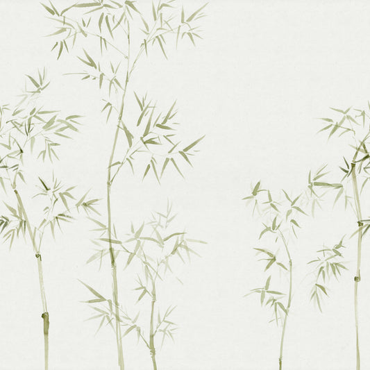 Watercolour Bamboo Tree Wallpaper Mural