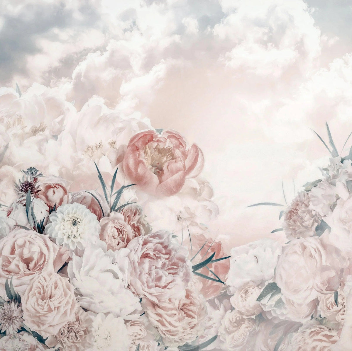 Pink White Flower Wallpaper Mural in your room — zoomed