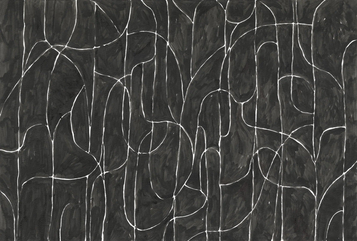 Boulder Beach Black Wallpaper Mural