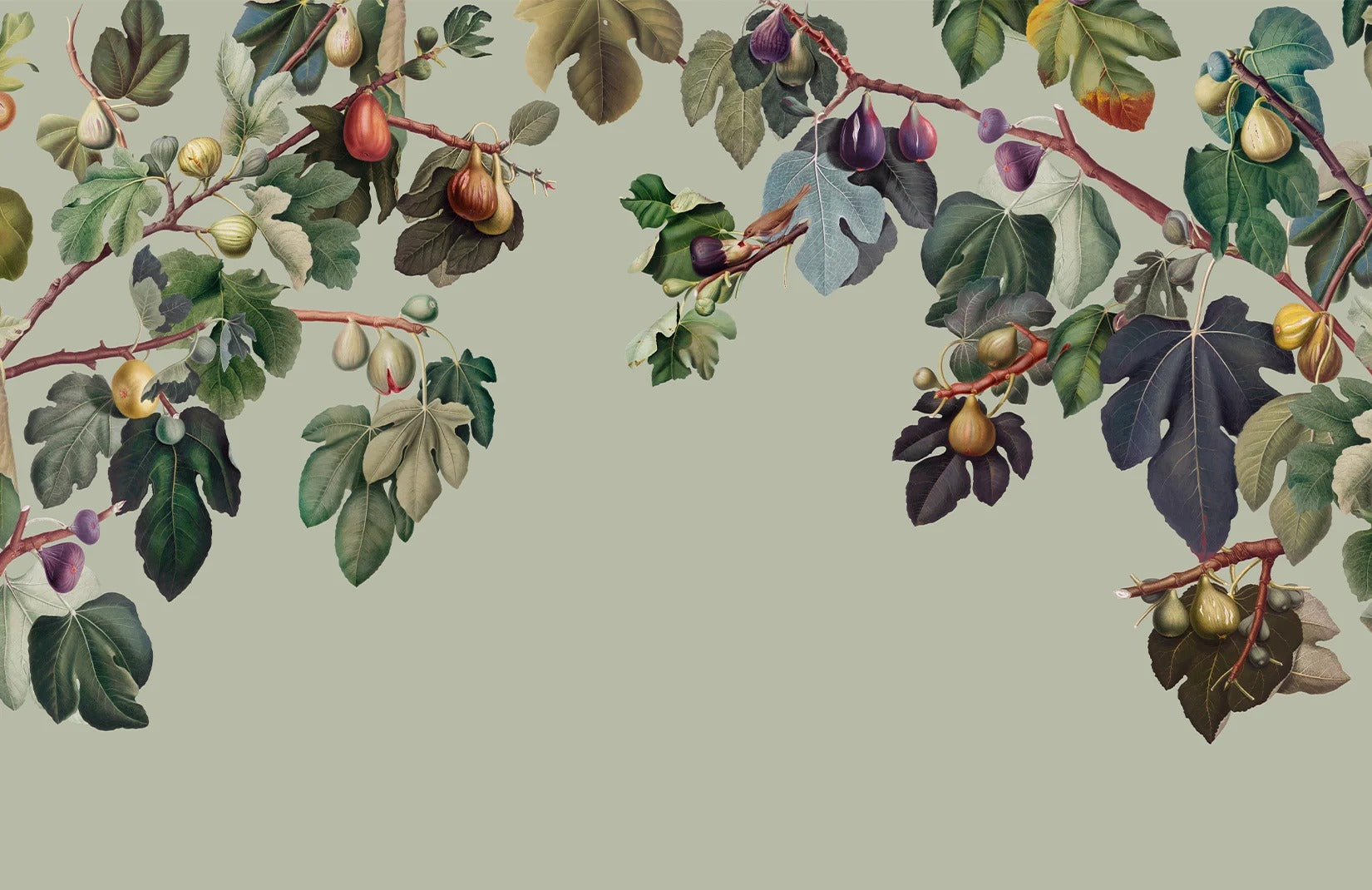 Botanical Fig Garden Wall Mural