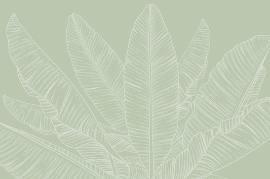 Banana Leaf Canopy Wallpaper