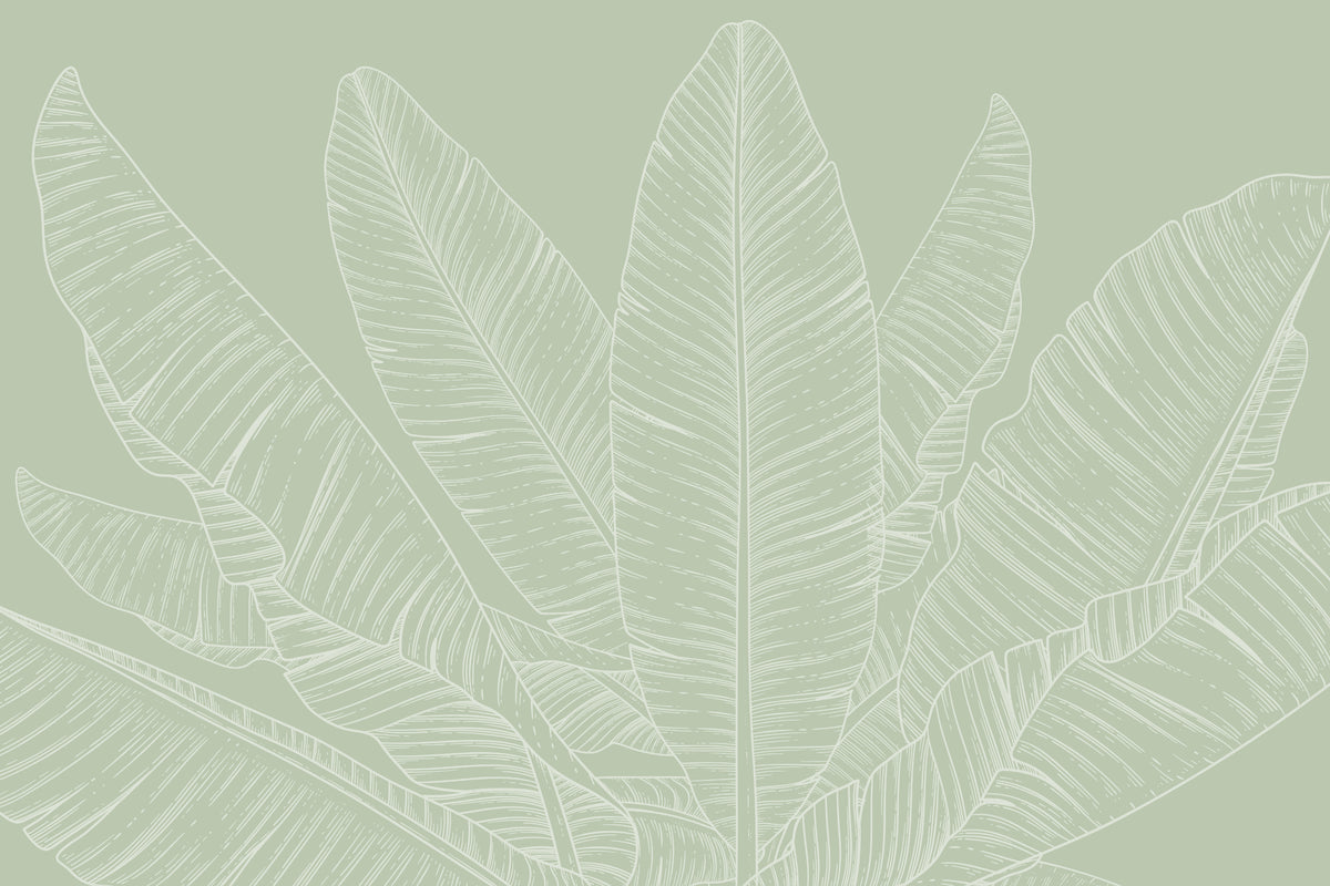 Banana Leaf Canopy Wallpaper