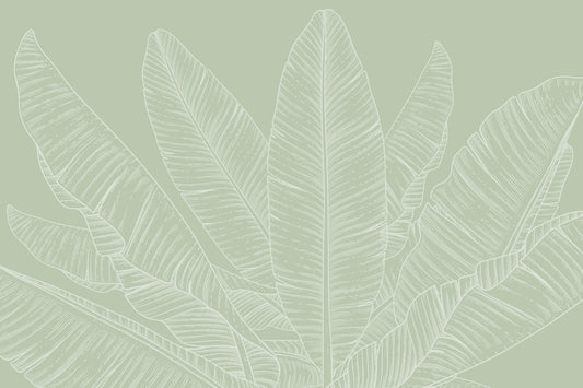 Banana Leaf Canopy Wallpaper