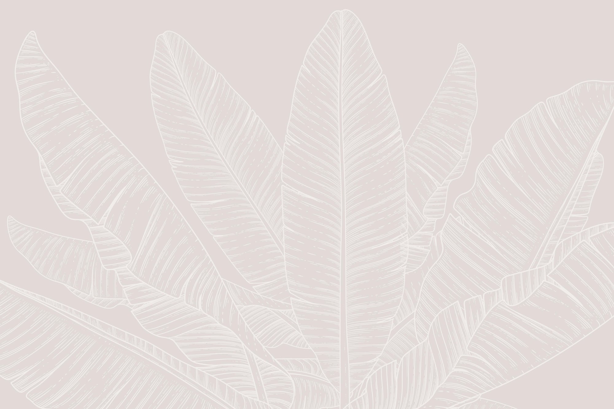 Banana Leaf Canopy Wallpaper – Sandstone