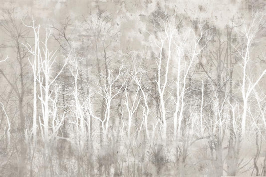 Grayscale Woodland Nature Wallpaper
