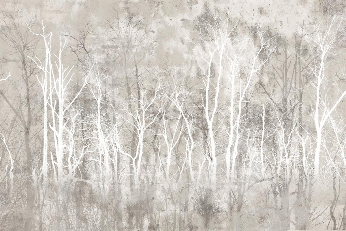 Grayscale Woodland Nature Wallpaper