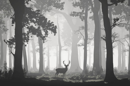 Misty Woodland Deer Wallpaper