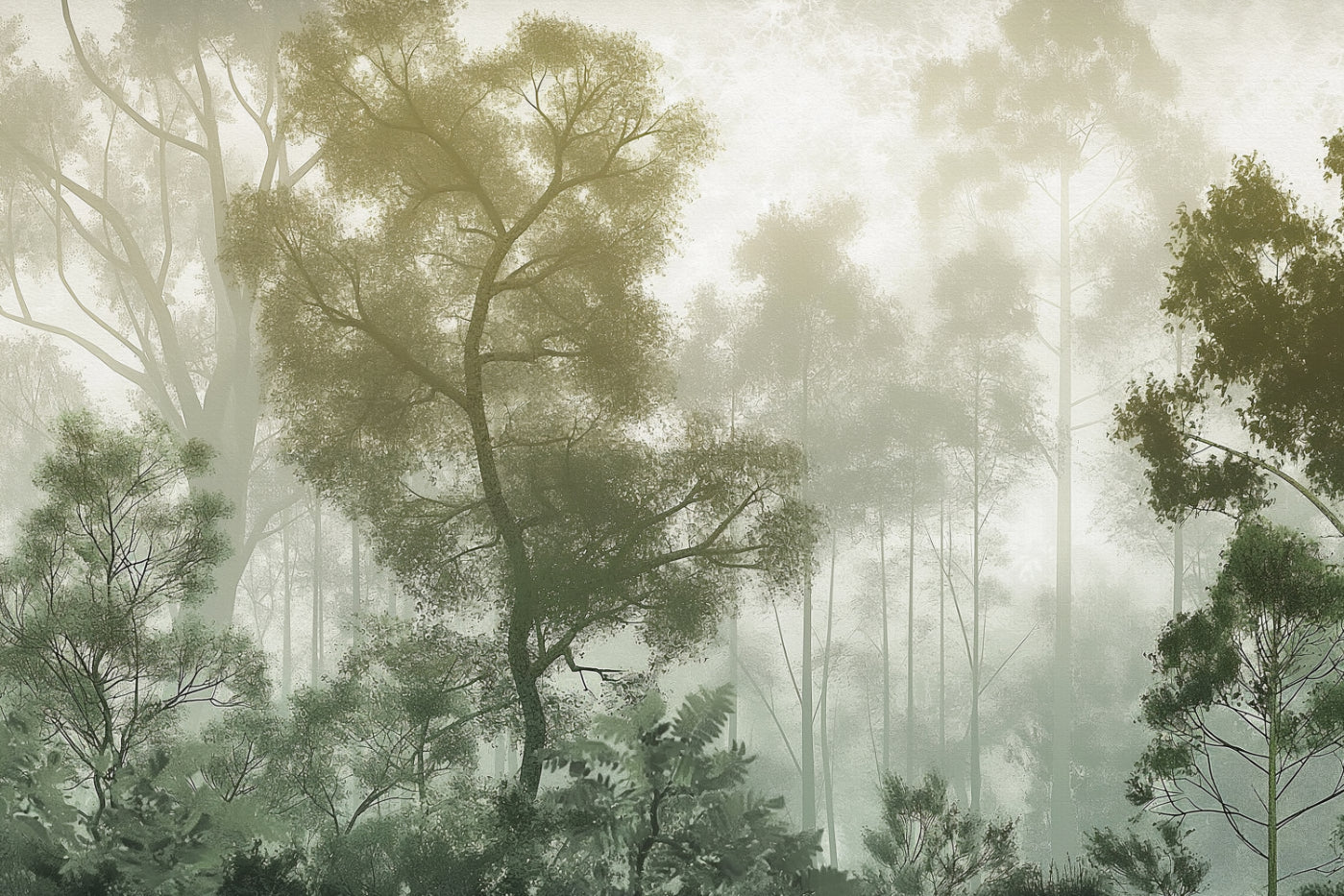 Misty Forest Green Wallpaper