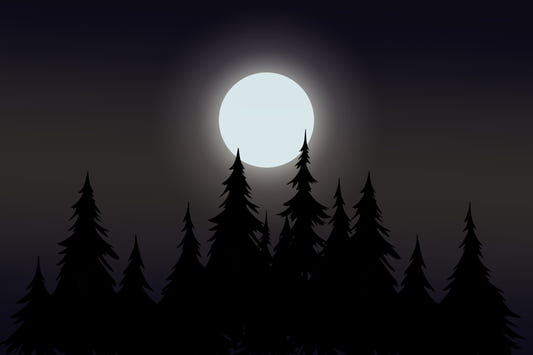 Full Moon Pine Silhouette Wallpaper