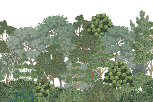 Lush Green Forest Wallpaper