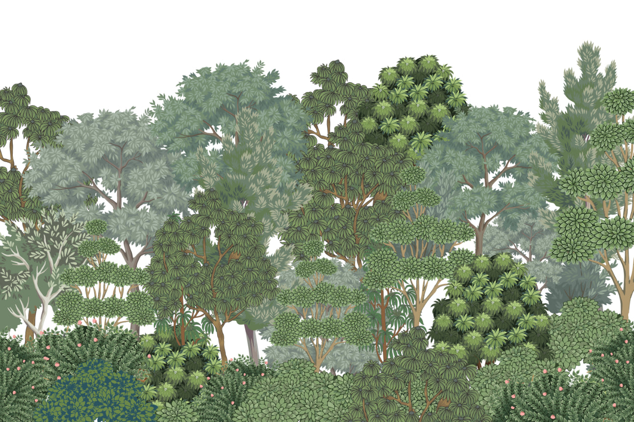 Lush Green Forest Wallpaper