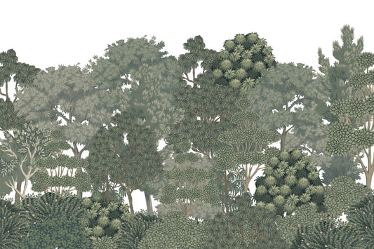 Lush Green Botanical Forest Wallpaper