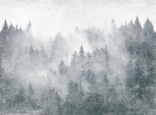 Misty Pine Forest Scenic Wallpaper