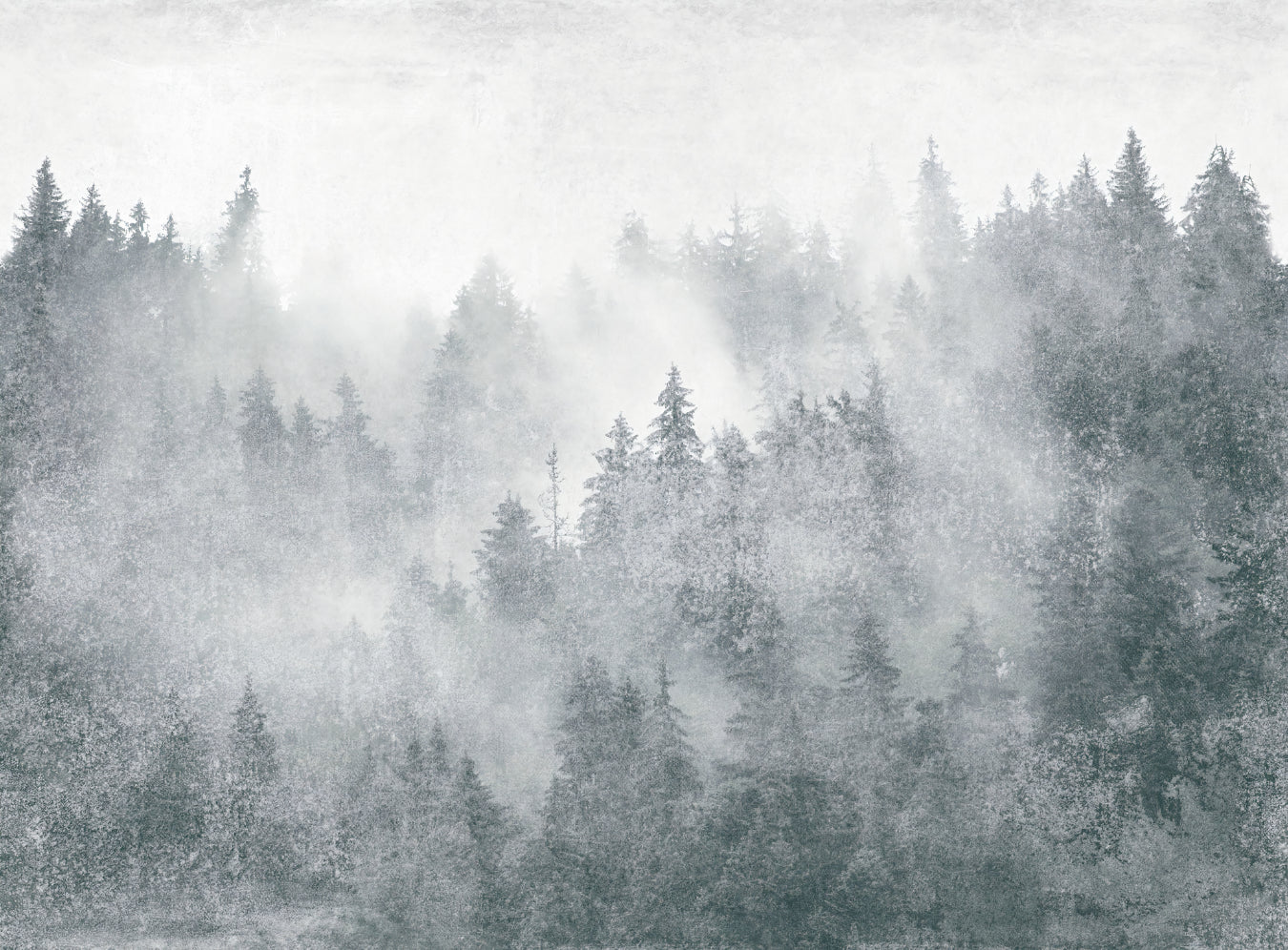 Misty Pine Forest Scenic Wallpaper
