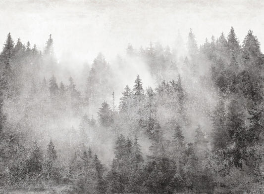 Monochrome Misty Pine Forest Wallpaper