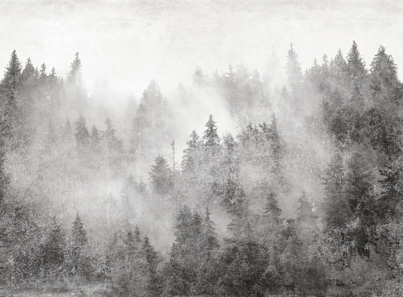 Monochrome Misty Pine Forest Wallpaper
