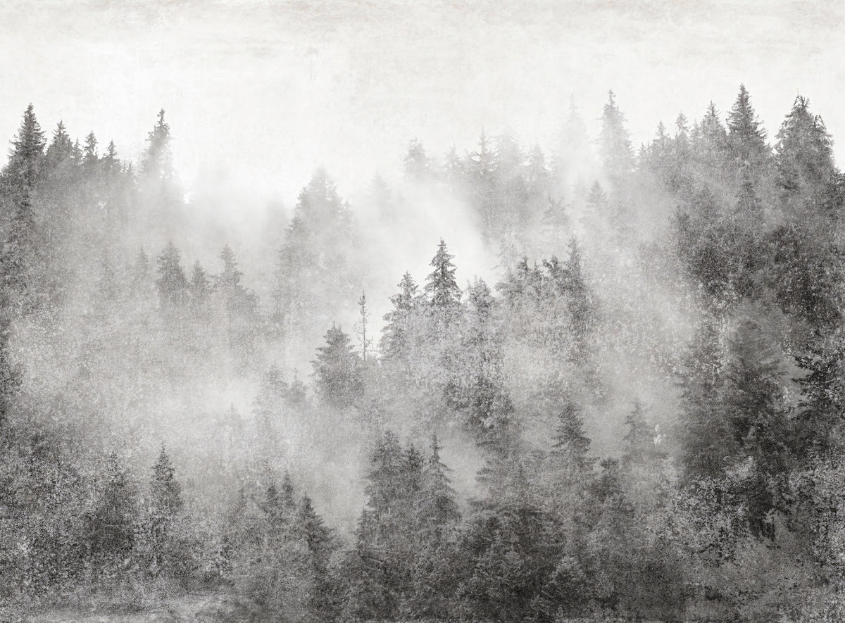 Monochrome Misty Pine Forest Wallpaper in your room — zoomed