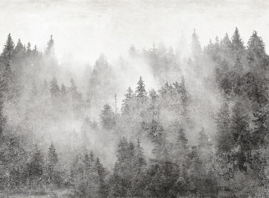 Monochrome Misty Pine Forest Wallpaper