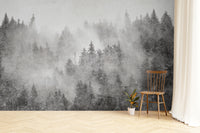 Monochrome misty pine forest wallpaper
