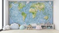 Educational world map mural design
