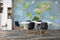 Vintage National Geographic map mural
