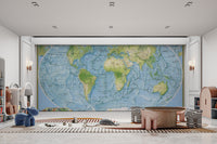 Large-scale world map wall covering
