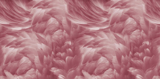 Blush Pink Feather Wallpaper