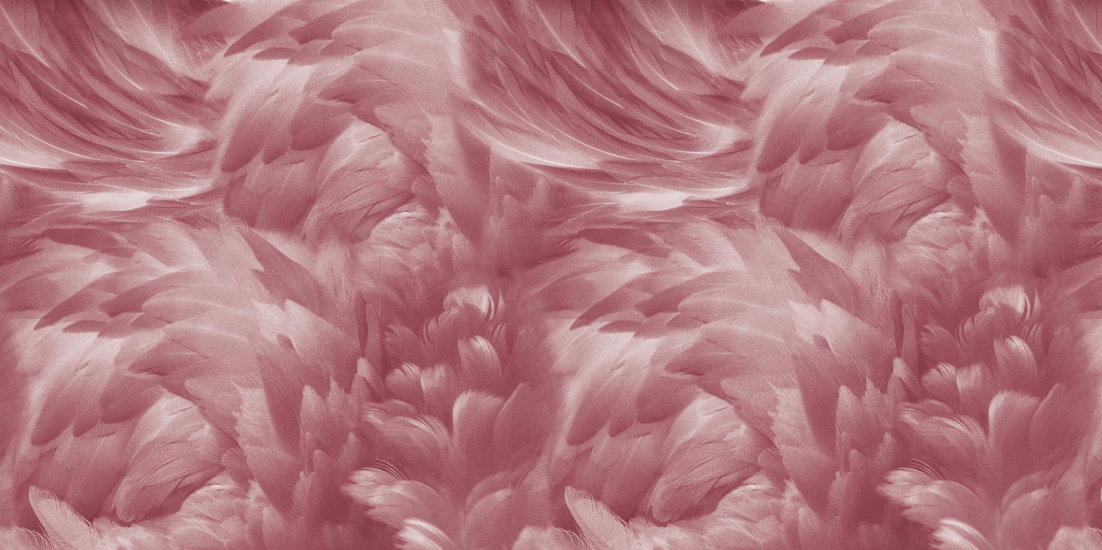 Blush Pink Feather Wallpaper
