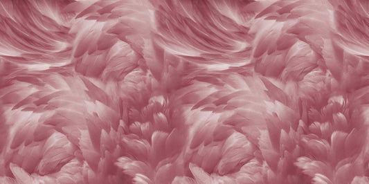 Blush Pink Feather Wallpaper