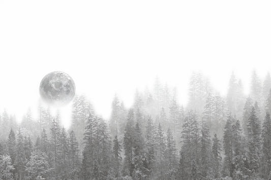 Misty Forest Moon Wallpaper