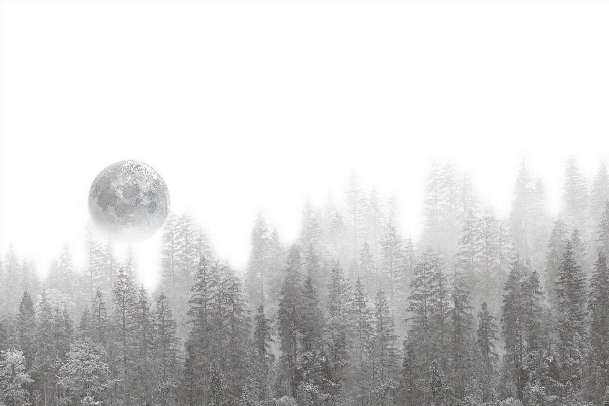 Misty Forest Moon Wallpaper